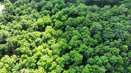 Undeveloped Land in Pike County, Pennsylvania