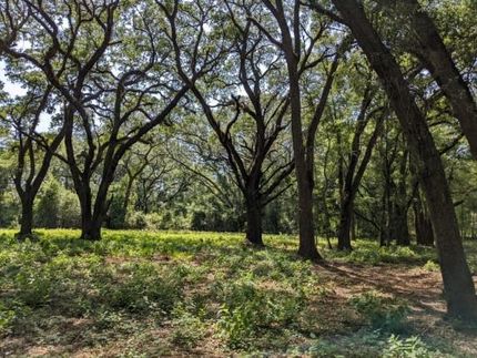 Farm and Ranch in Suwannee County, Florida