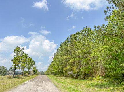 Recreational Property in Polk County, Texas