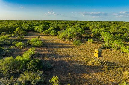 Recreational Property in Frio County, Texas