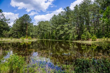 Hunting Property in Grimes County, Texas