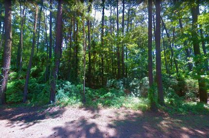 Undeveloped Land in Sabine County, Texas