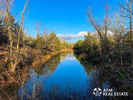 Timberland Property in Pushmataha County, Oklahoma