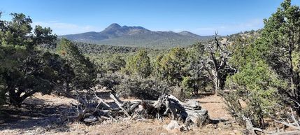 Farm and Ranch in Coconino County, Arizona