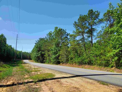 Recreational Property in Lee County, Alabama