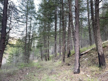 Undeveloped Land in Okanogan County, Washington