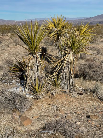 Undeveloped Land in Mohave County, Arizona