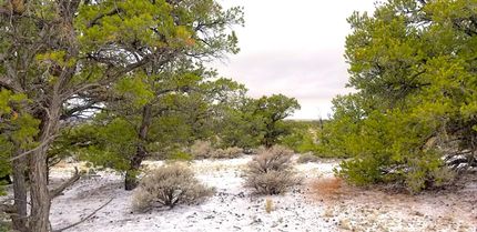 Farm and Ranch in Costilla County, Colorado