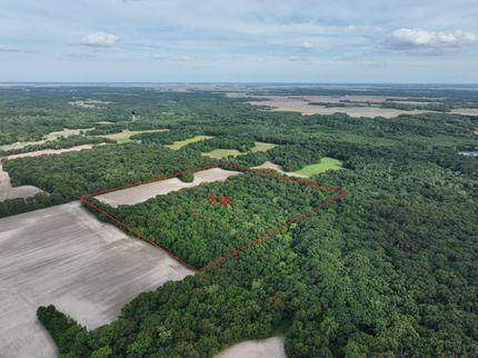 Farm and Ranch in Fayette County, Illinois