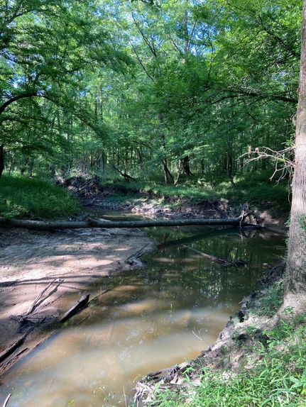 Hunting Property in Jasper County, Mississippi
