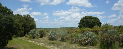 Farm and Ranch in Lake County, Florida