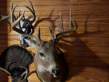 Farm and Ranch in Harper County, Kansas