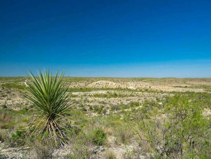 Farm and Ranch in Terrell County, Texas