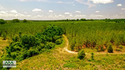 Timberland Property in Marion County, Georgia