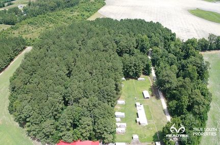Timberland Property in Hampton County, South Carolina