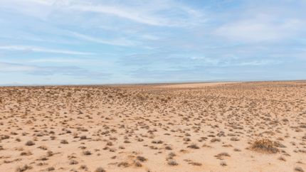 Undeveloped Land in San Bernardino County, California