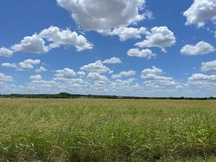 Undeveloped Land in McLennan County, Texas