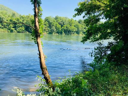 Riverfront Property in Izard County, Arkansas