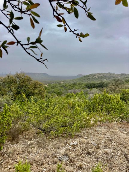 Farm and Ranch in Tom Green County, Texas