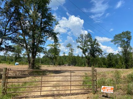 Undeveloped Land in Mobile County, Alabama