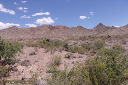 Timberland Property in Mohave County, Arizona