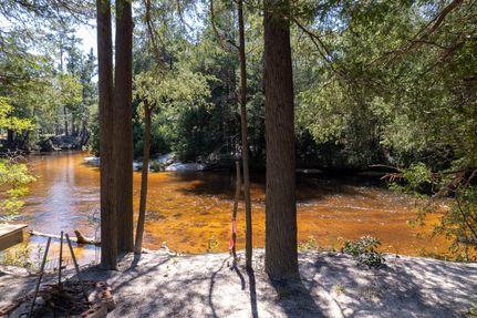 Undeveloped Land in Escambia County, Alabama
