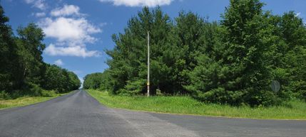 Undeveloped Land in Polk County, Wisconsin