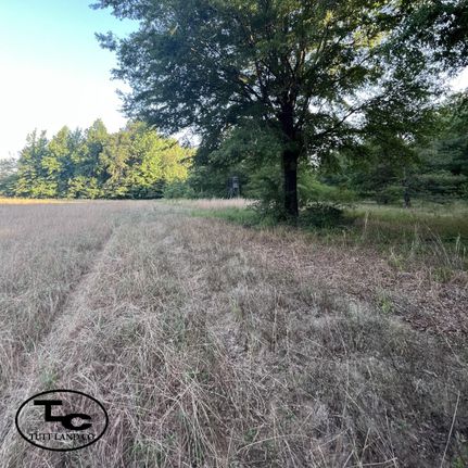 Farm and Ranch in Hale County, Alabama