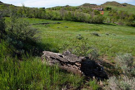 Undeveloped Land in Billings County, North Dakota