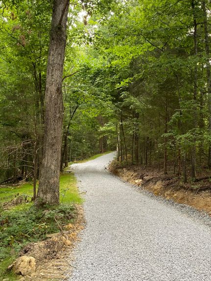 Timberland Property in Adair County, Kentucky
