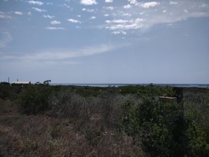 Undeveloped Land in Live Oak County, Texas