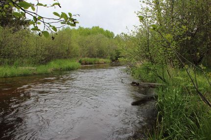 Timberland Property in Schoolcraft County, Michigan