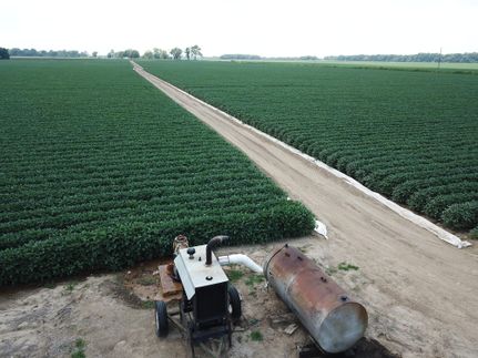 Land in East Carroll Parish, Louisiana