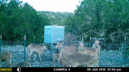 Recreational Property in Edwards County, Texas