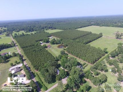 Undeveloped Land in Rapides Parish, Louisiana