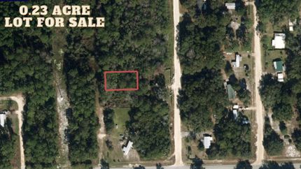 Undeveloped Land in Putnam County, Florida