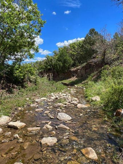Undeveloped Land in Huerfano County, Colorado
