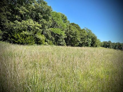 Timberland Property in Benton County, Missouri