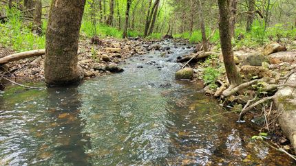 Undeveloped Land in Fulton County, Arkansas