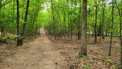 Timberland Property in Fulton County, Arkansas