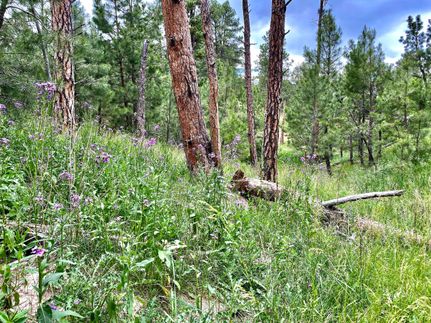 Timberland Property in Dawes County, Nebraska