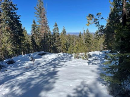 Undeveloped Land in Klamath County, Oregon