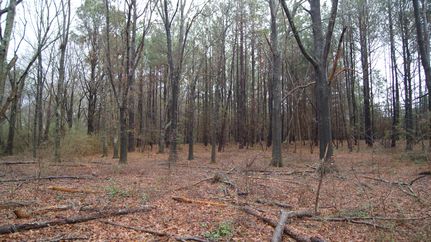 Recreational Property in Laurens County, South Carolina