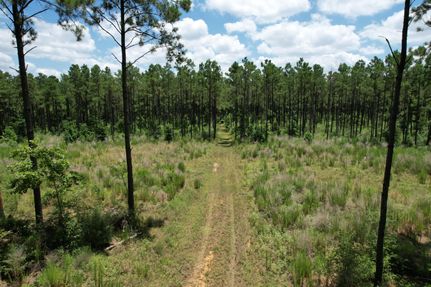 Recreational Property in Houston County, Texas