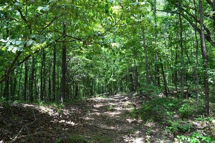 Land in Chattahoochee County, Georgia