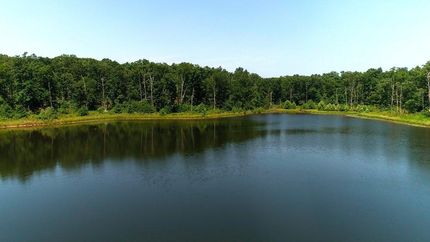 Timberland Property in Bollinger County, Missouri