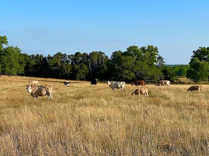 Land in Douglas County, Missouri