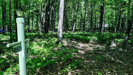 Farm and Ranch in Rusk County, Wisconsin