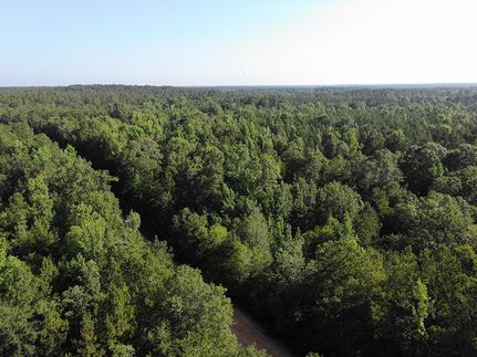 Farm and Ranch in Wayne County, Mississippi
