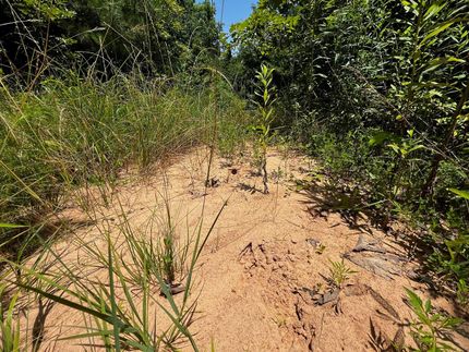 Hunting Property in Marshall County, Mississippi
